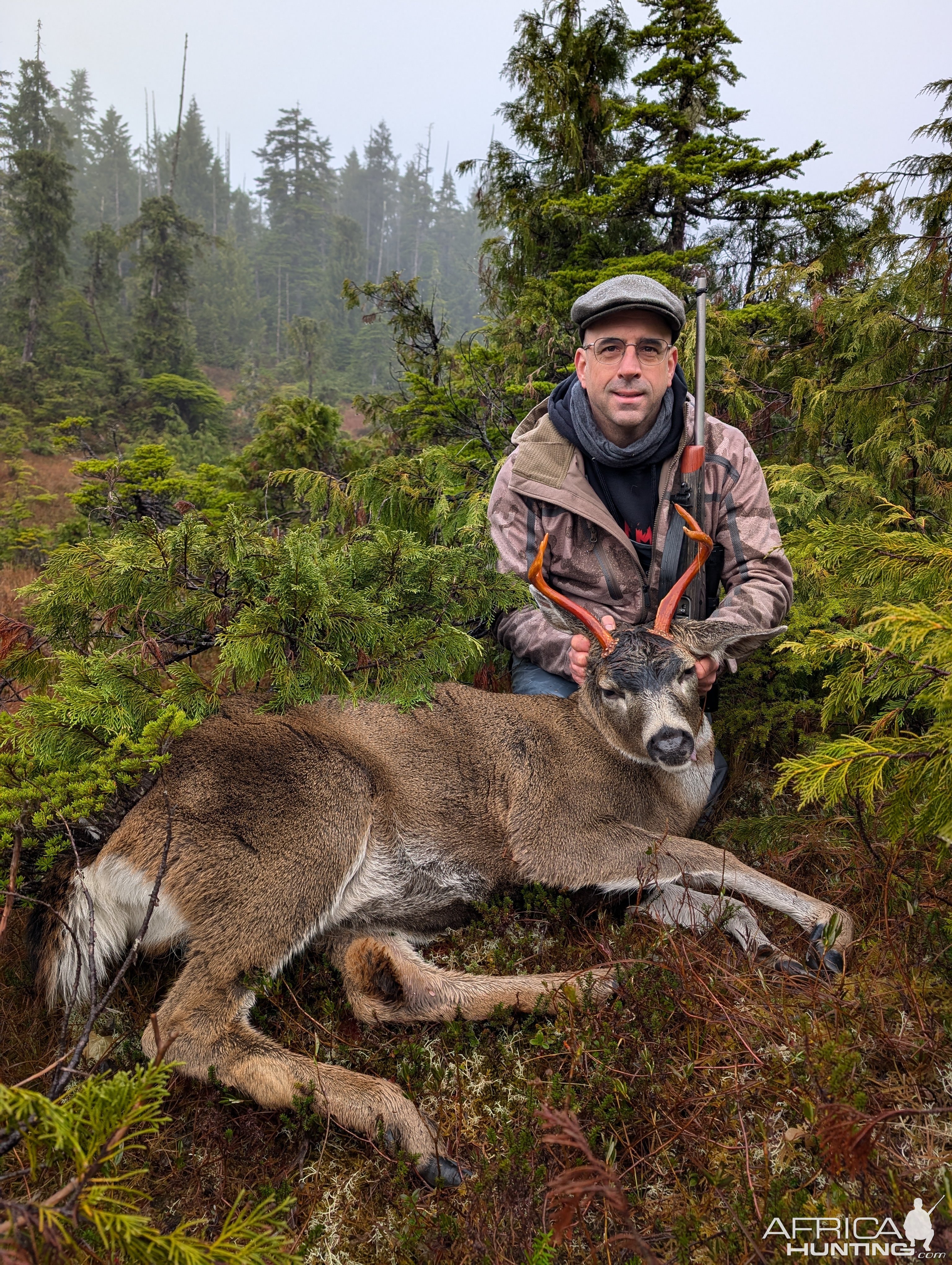 Sitka Blacktail Deer Hunt Prince of Wales Island