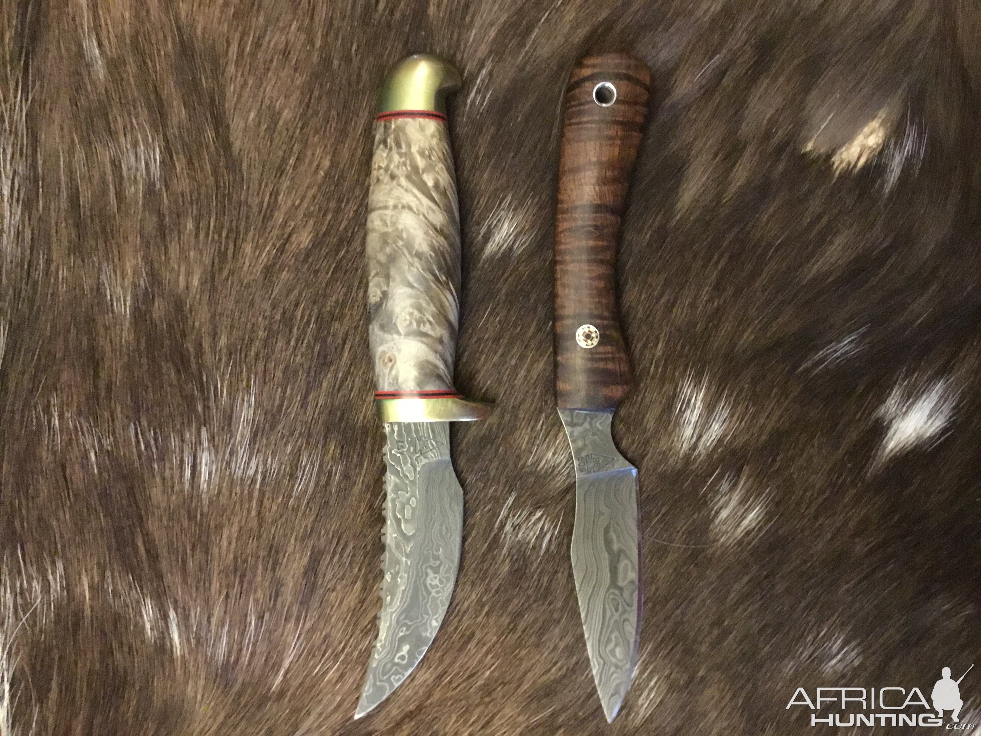 Skinner & Caper Knives