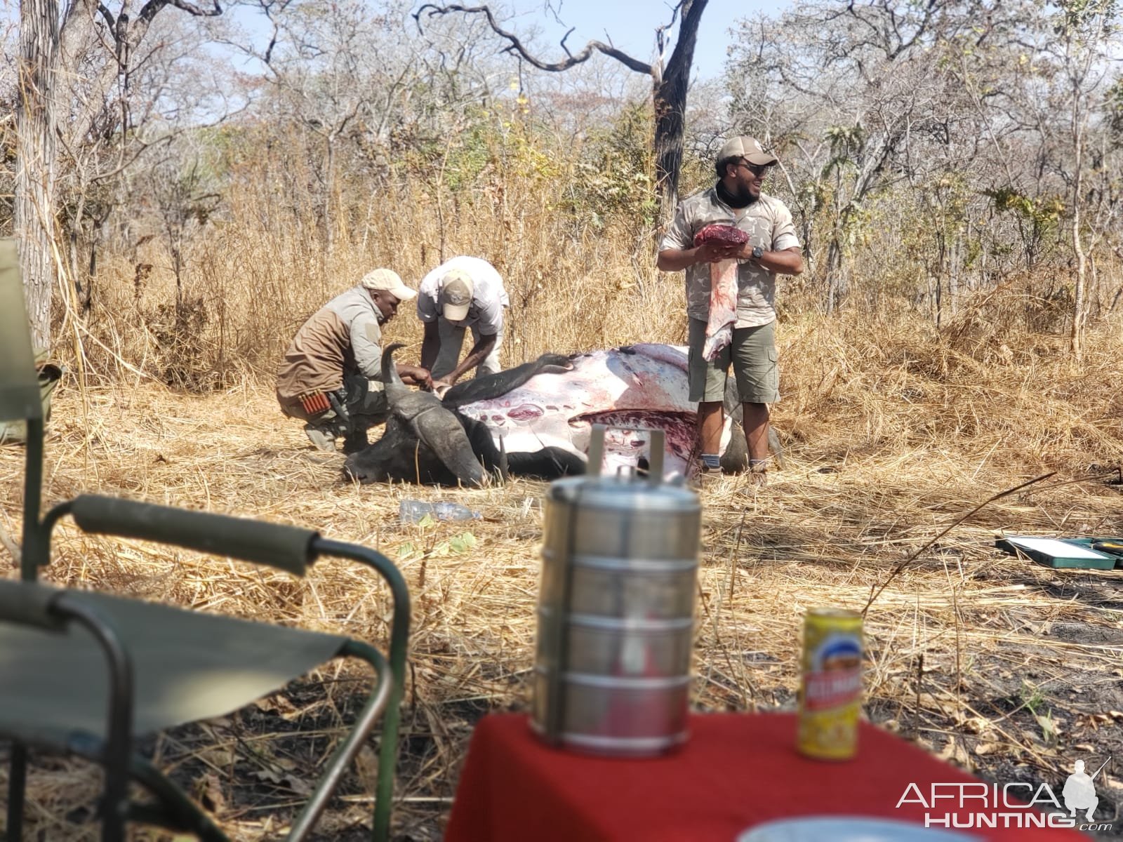 Skinning Buffalo Tanzania