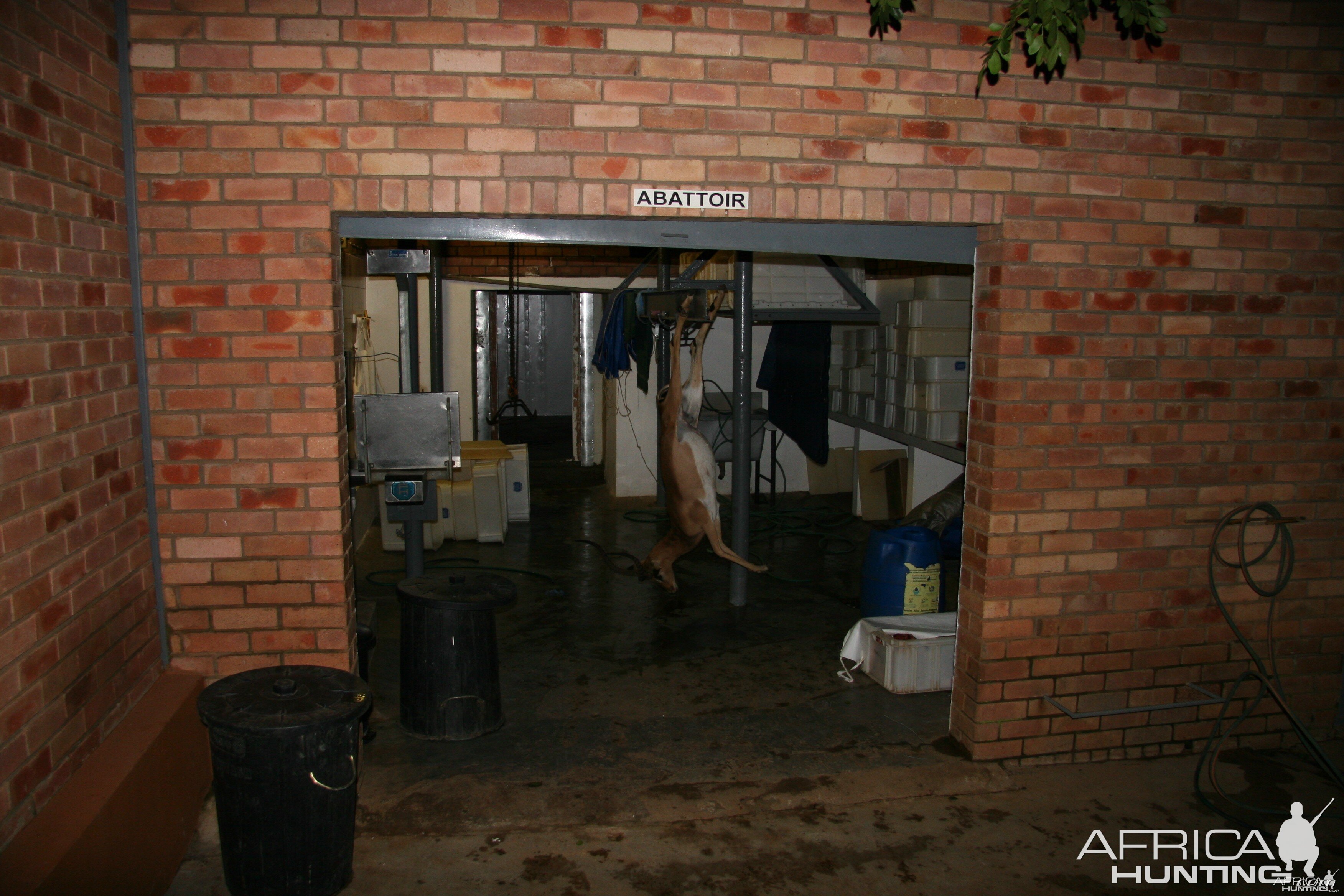 Skinning Room at Butchery