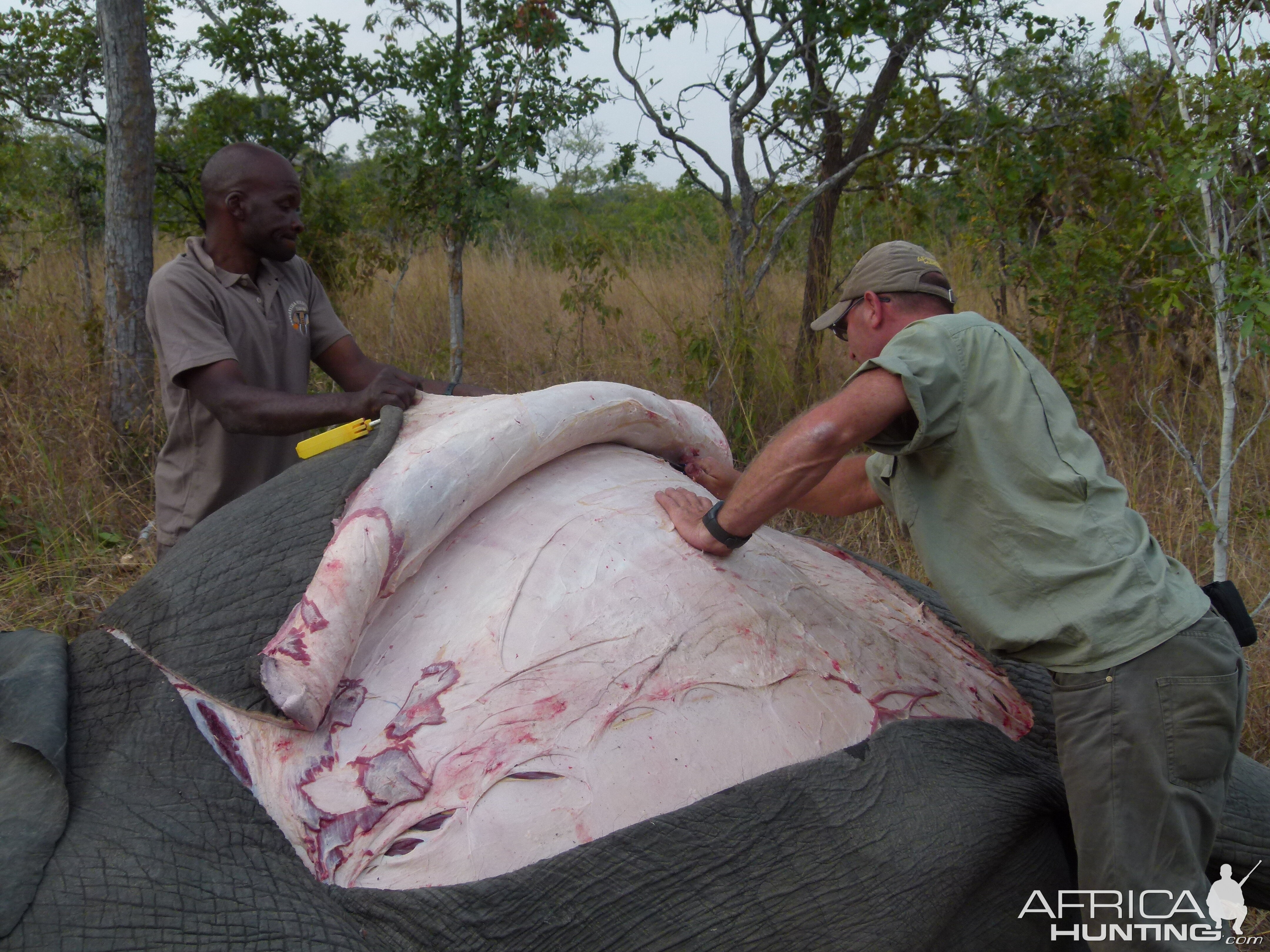 Skinning the Elephant... a big job