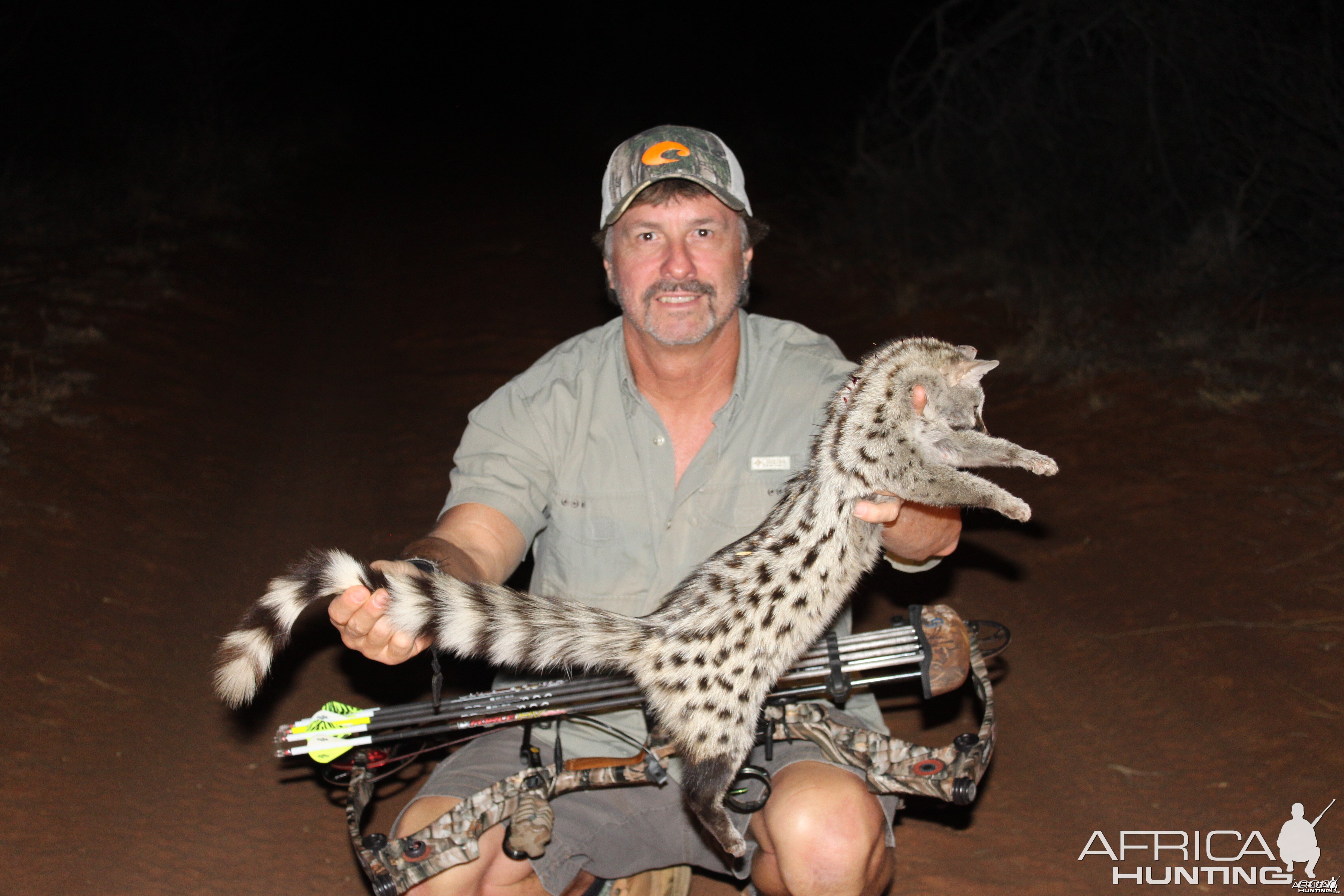 Small-spotted genet cat Limcroma Safaris 2015