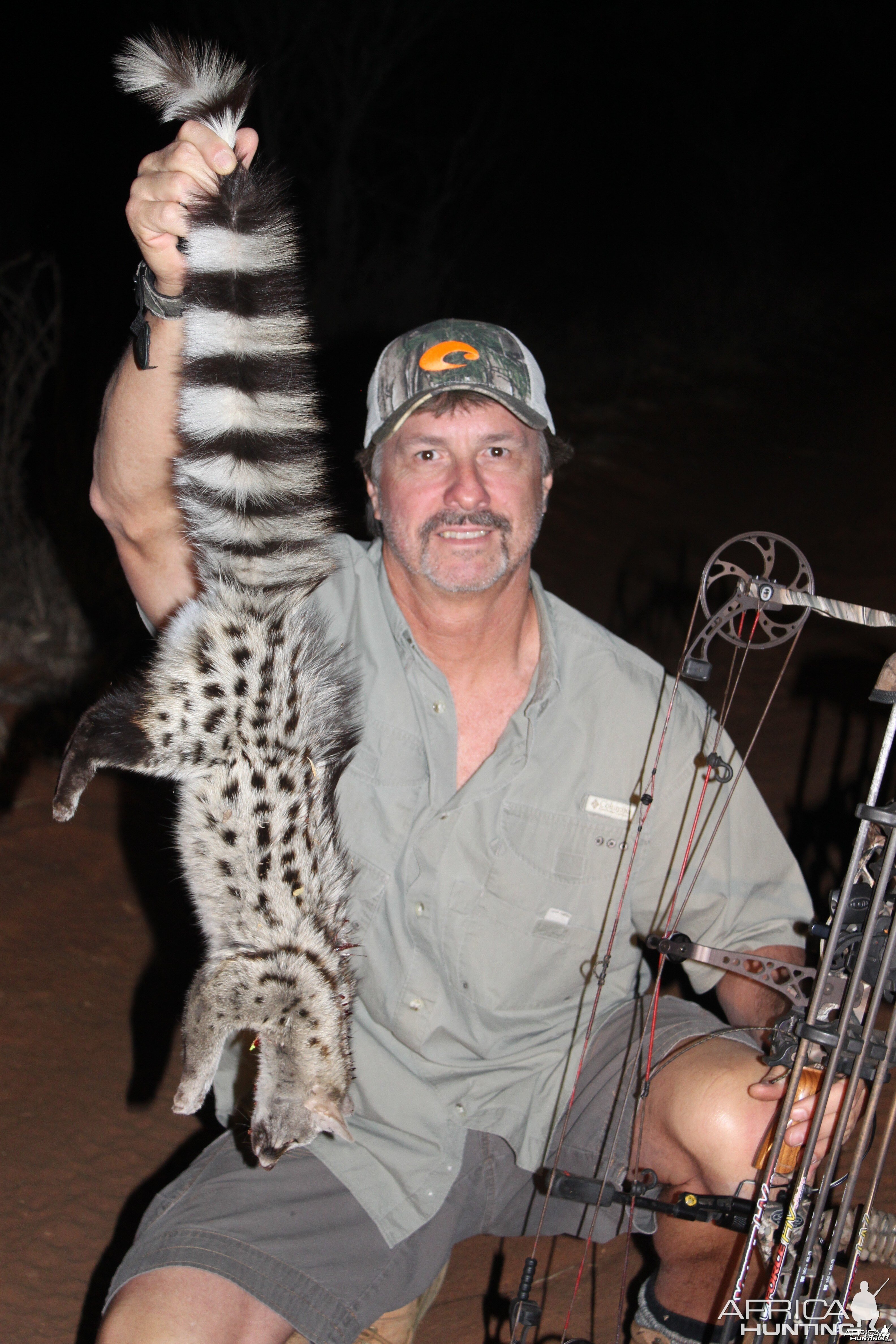 Small-spotted genet cat Limcroma Safaris 2015