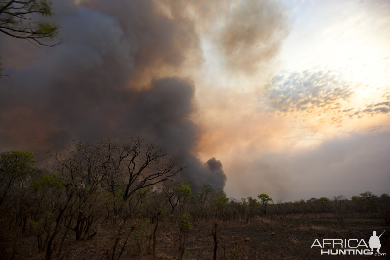 Smoke from grass fire in CAR