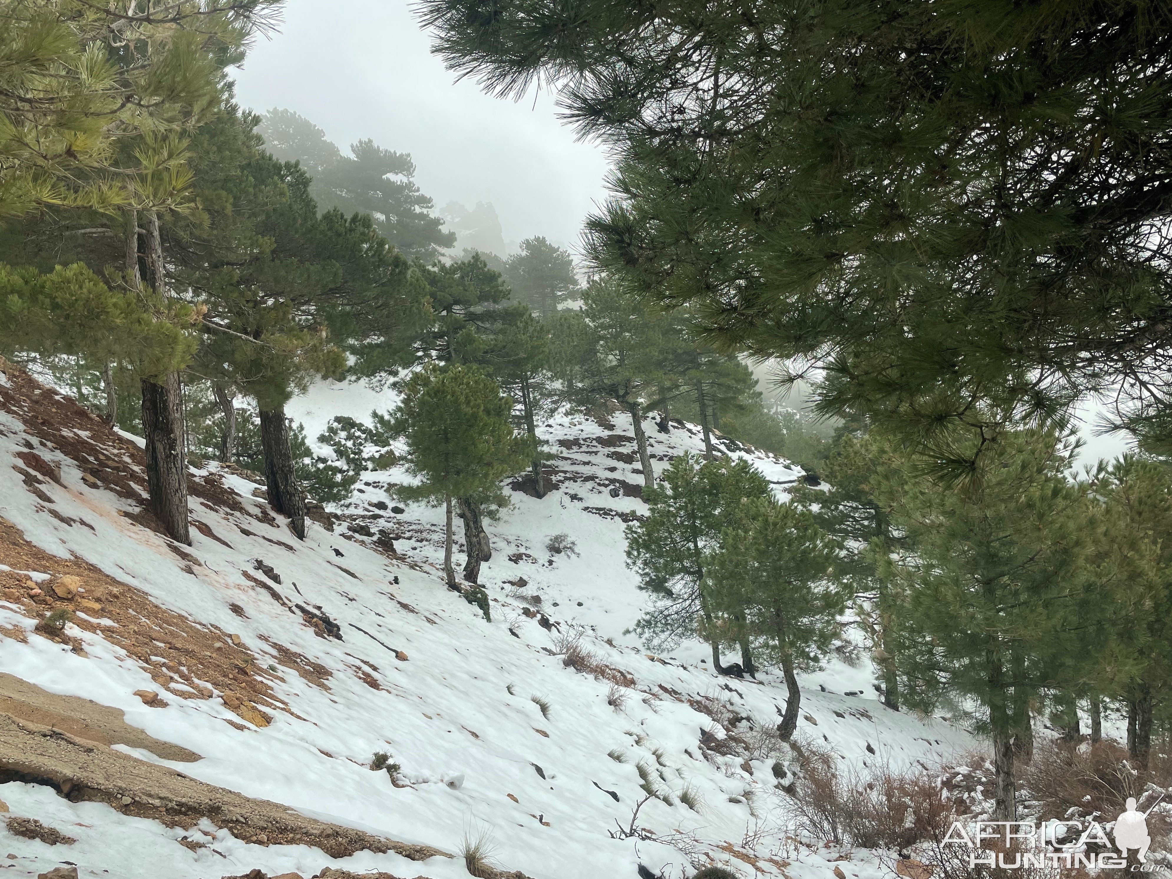 Snow Covered Slopes Spain