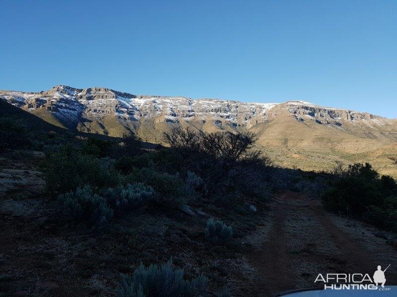 Snow on the mountains