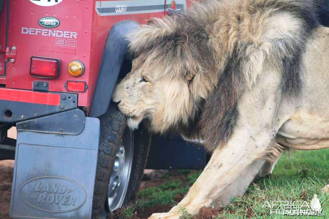 So who's going to volunteer to change the tyre?