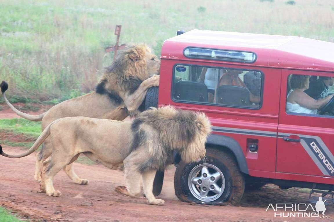 So who's going to volunteer to change the tyre?