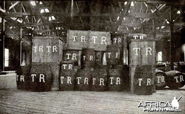 Some of Theodore Roosevelt baggage and equipment for safari expedition