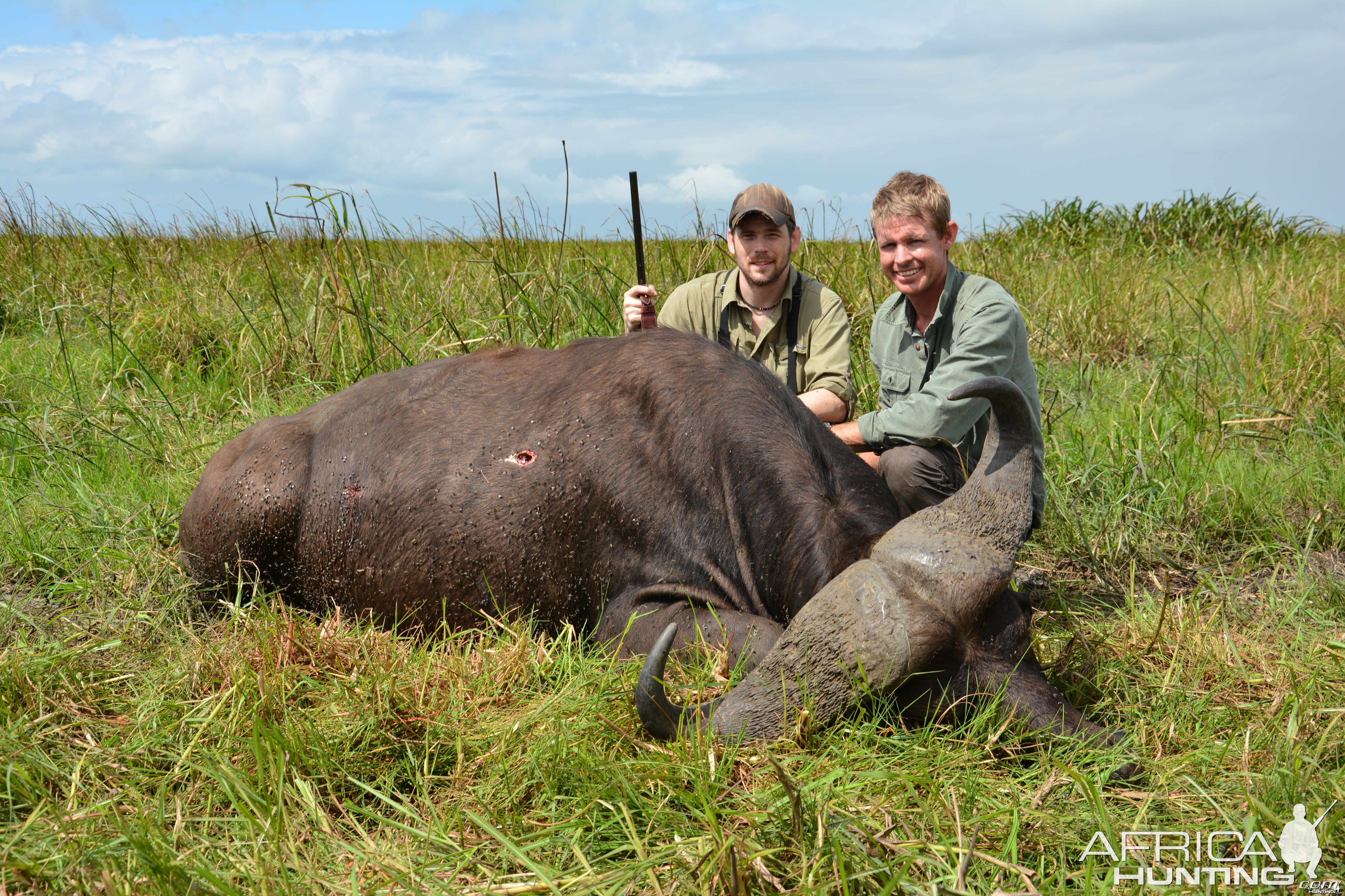 Son's Coutada 14 Buffalo bull