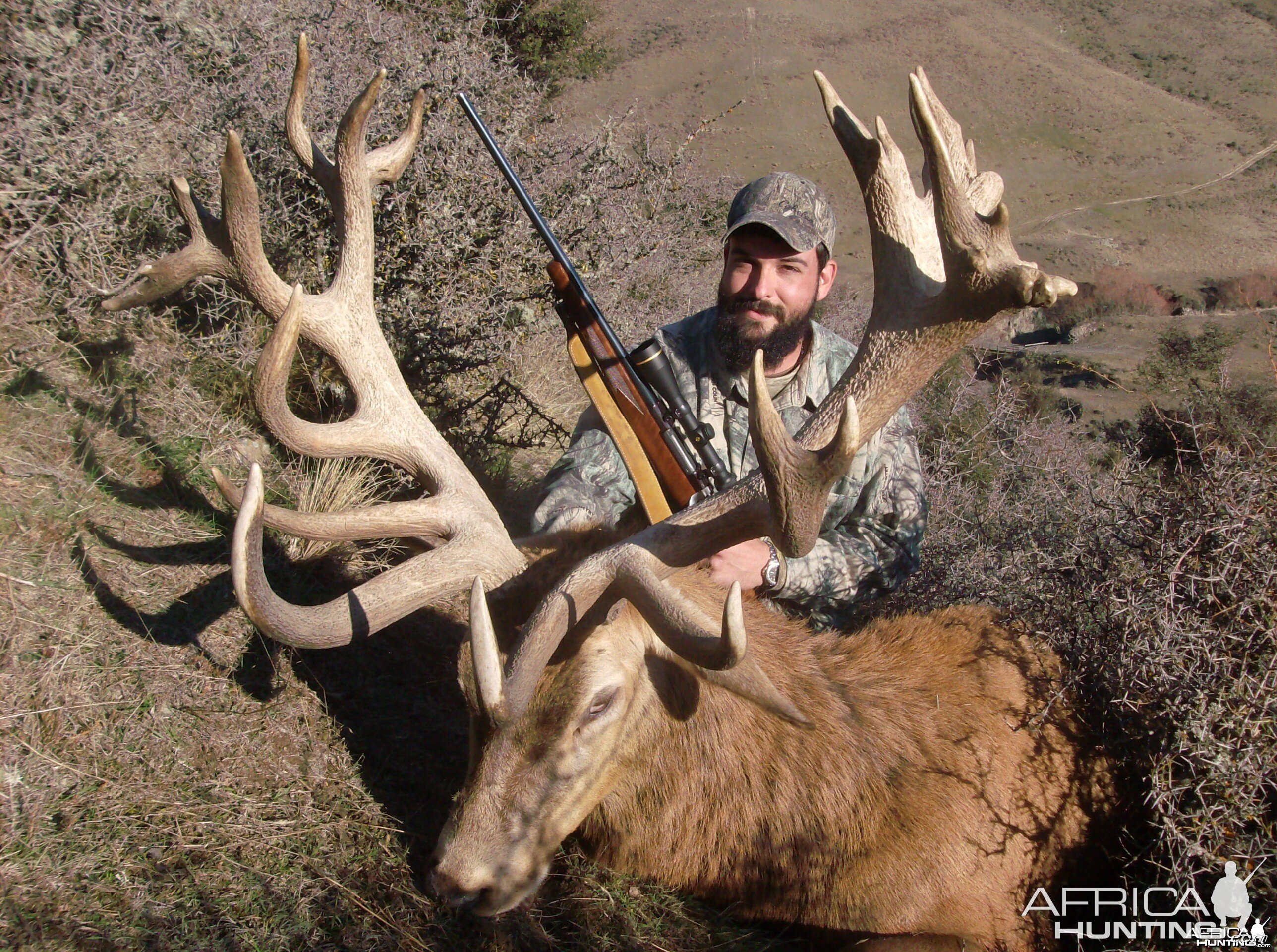 Son's New Zealand Stag