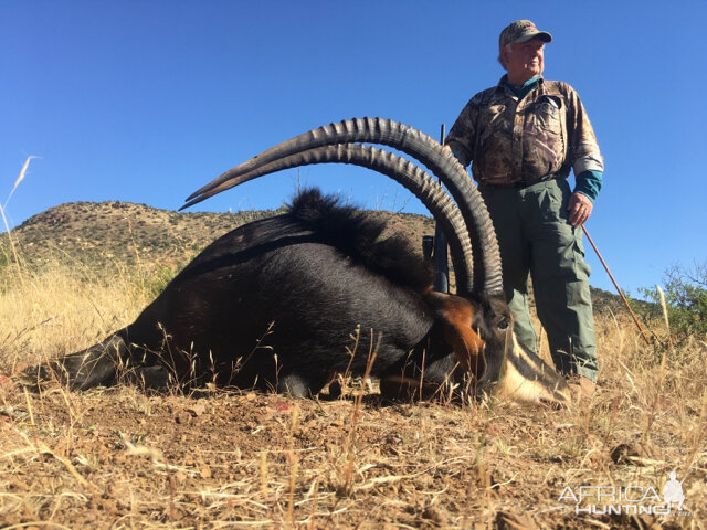 South Africa 44" Inch Sable Antelope Hunt