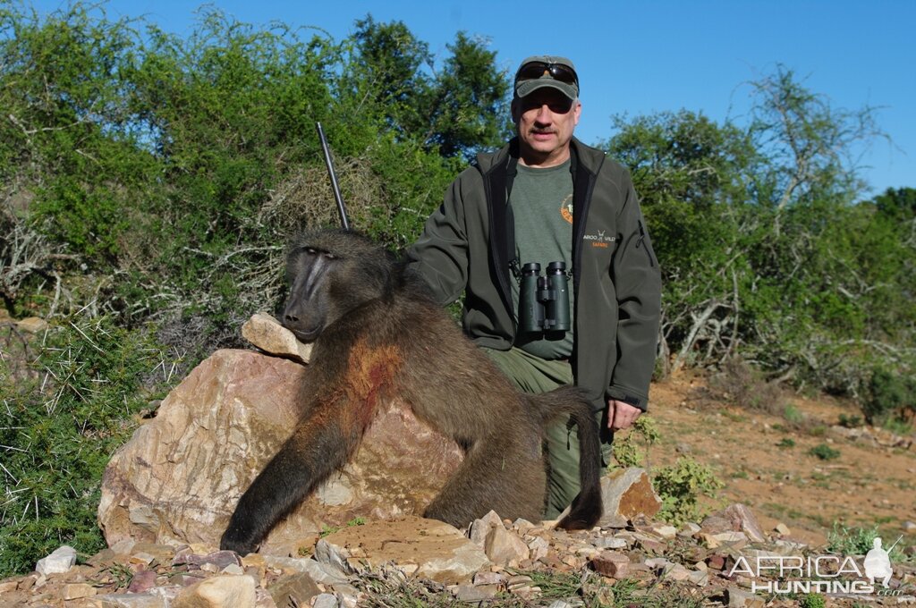 South Africa Baboon Hunt