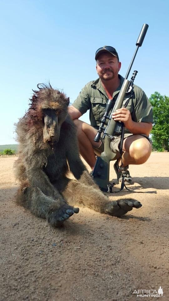 South Africa Baboon Hunt