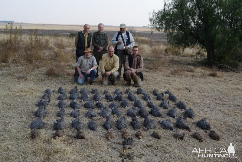 South Africa Bird Hunting