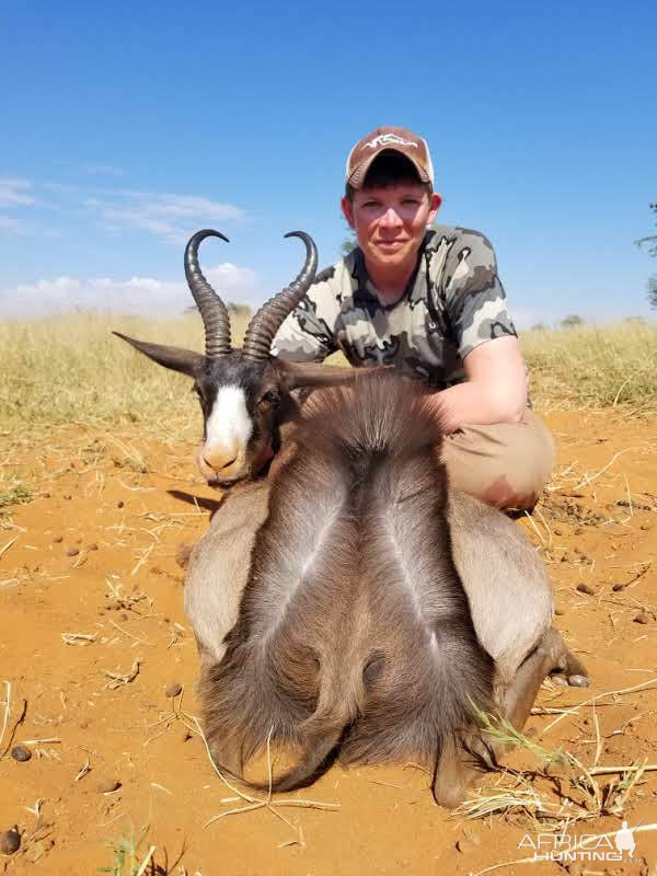 South Africa Black Springbok Hunting