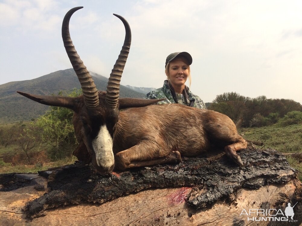 South Africa Black Springbuck Hunting