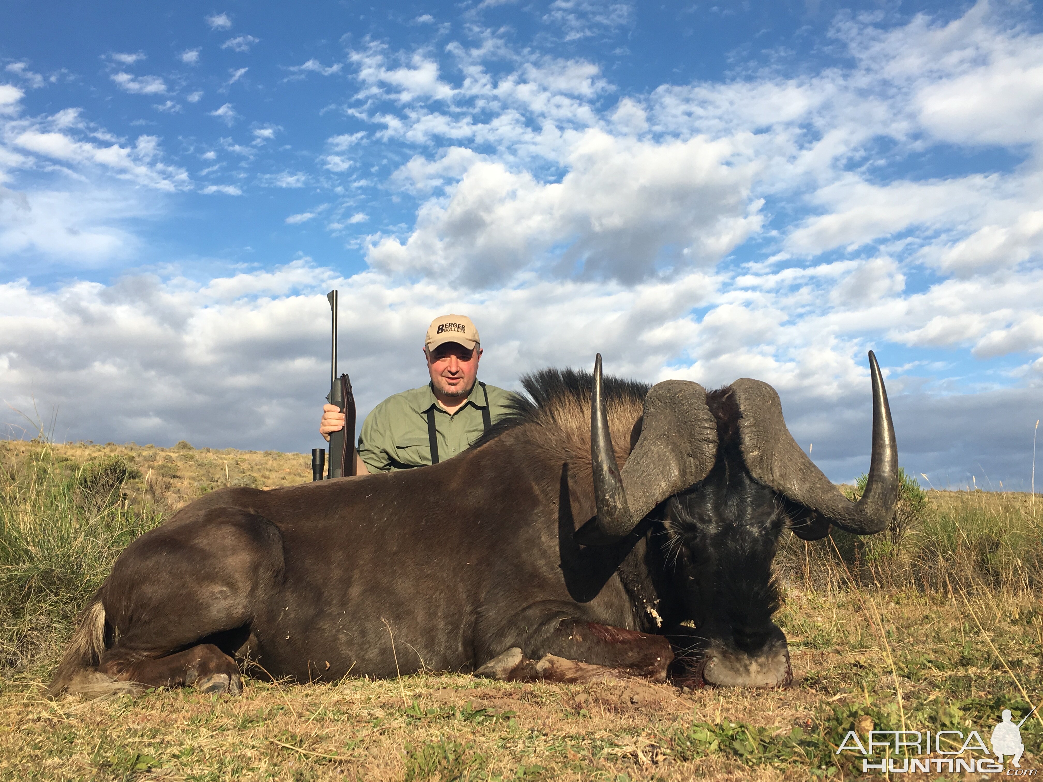 South Africa Black Wildebeest Hunt