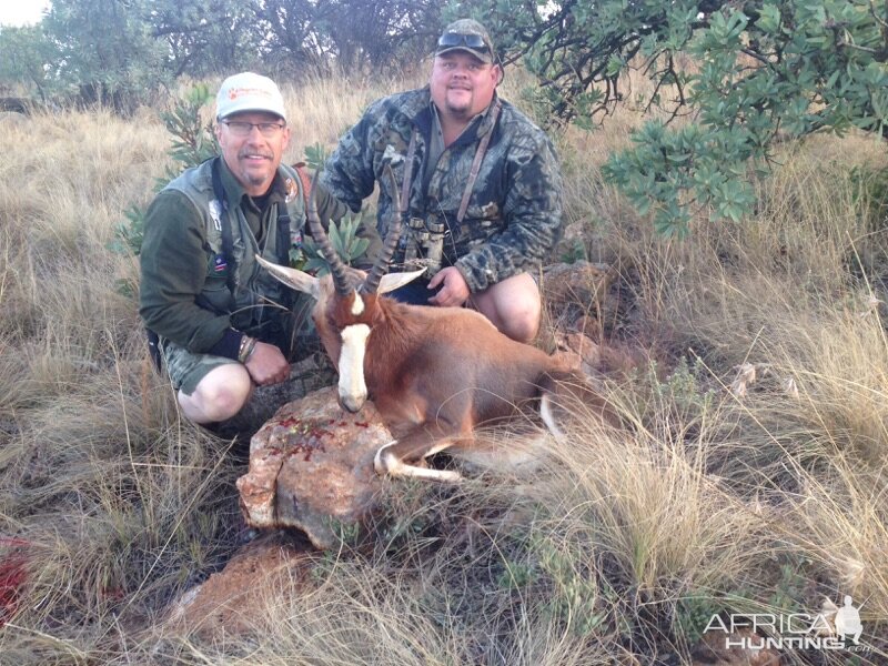 South Africa Blesbok Cull Hunt