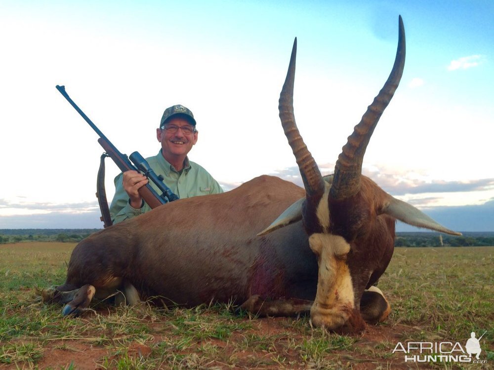 South Africa Blesbok Hunt