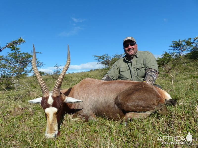 South Africa Blesbok Hunt