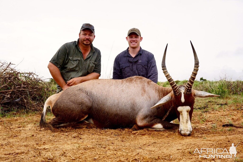 South Africa Blesbok Hunt