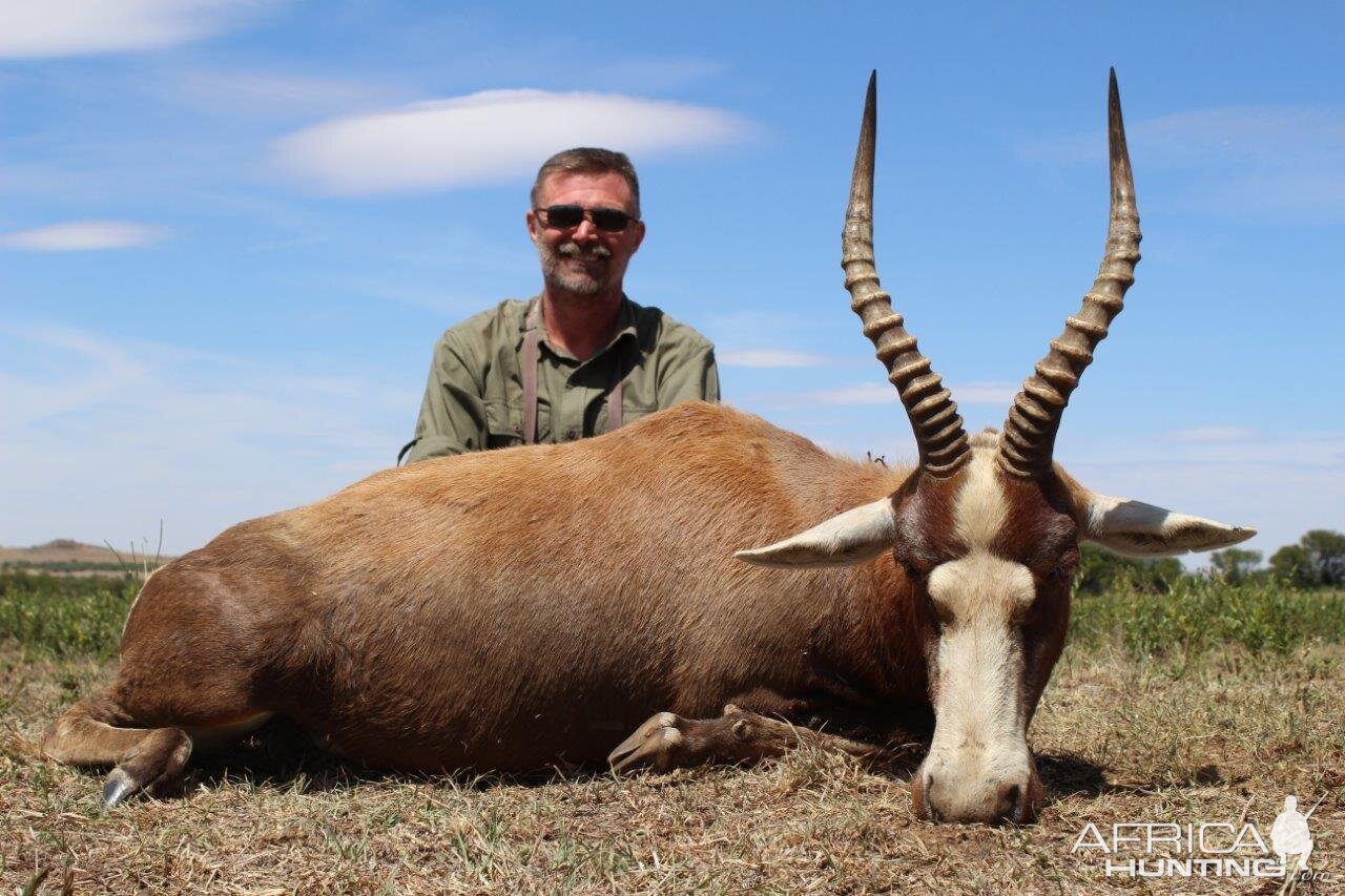 South Africa Blesbok Hunt