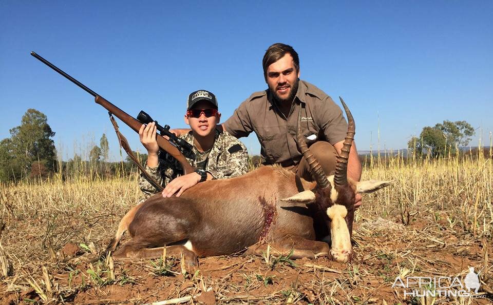 South Africa Blesbok Hunt