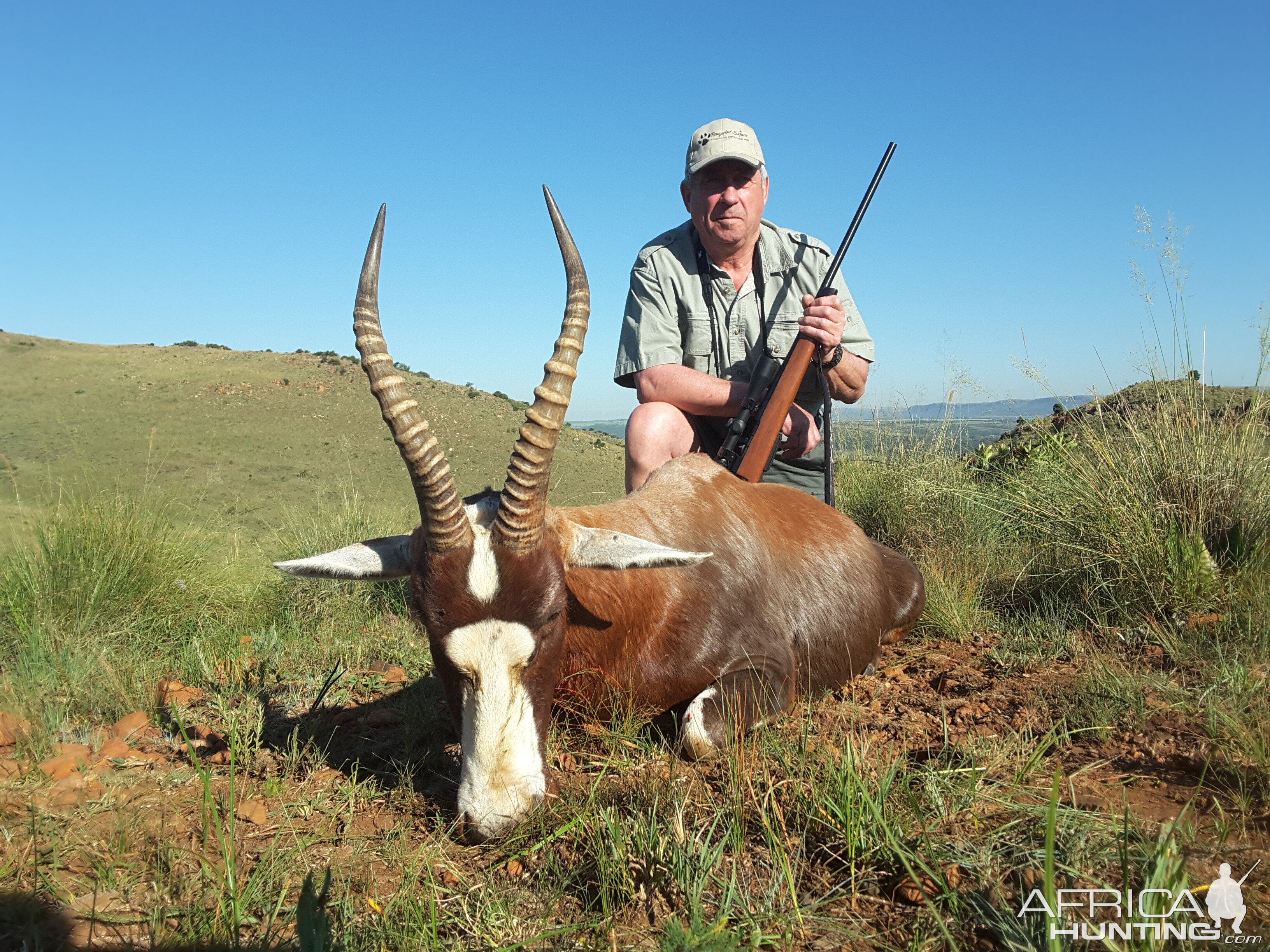 South Africa Blesbok Hunt