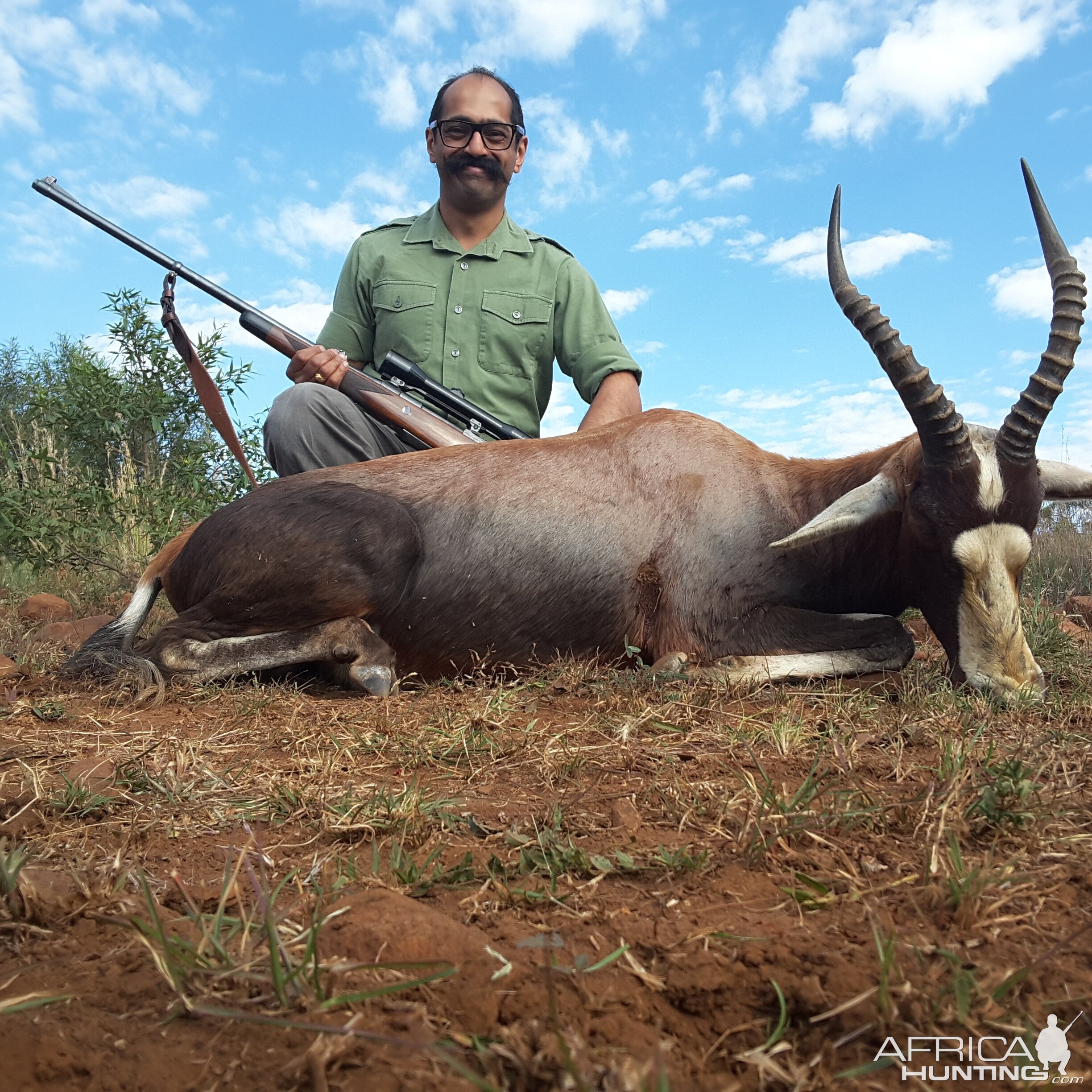 South Africa Blesbok Hunt