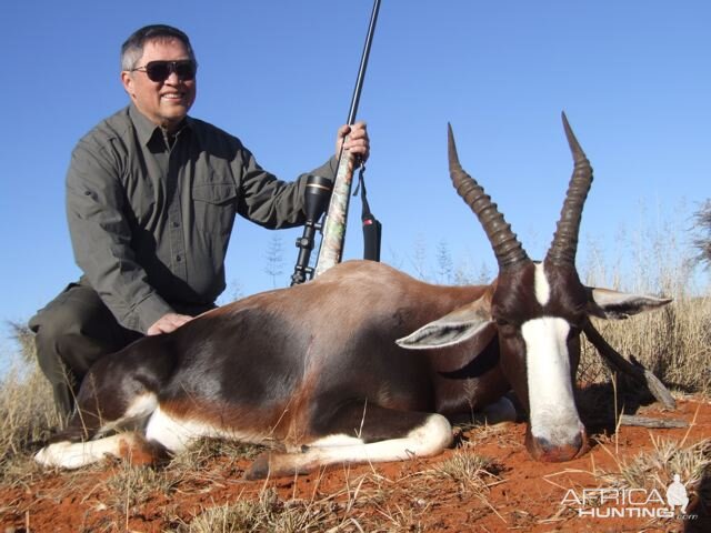 South Africa Blesbok Hunt