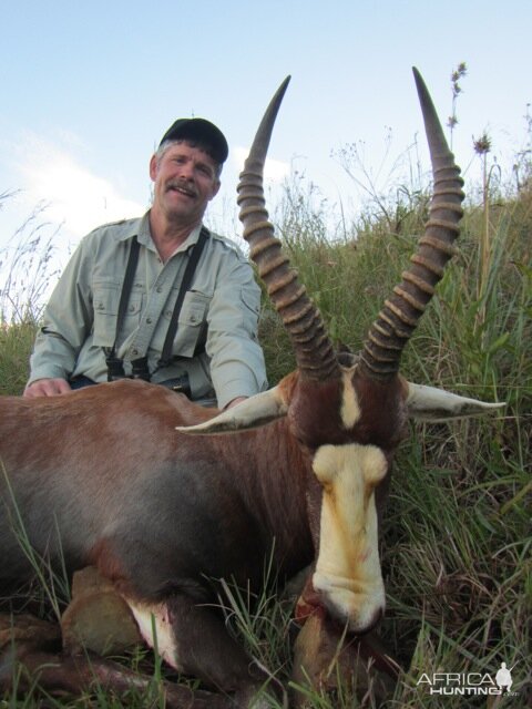 South Africa Blesbok Hunt