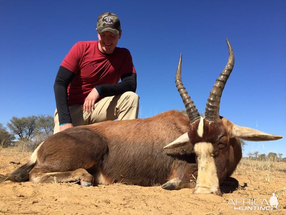 South Africa Blesbuck Hunt