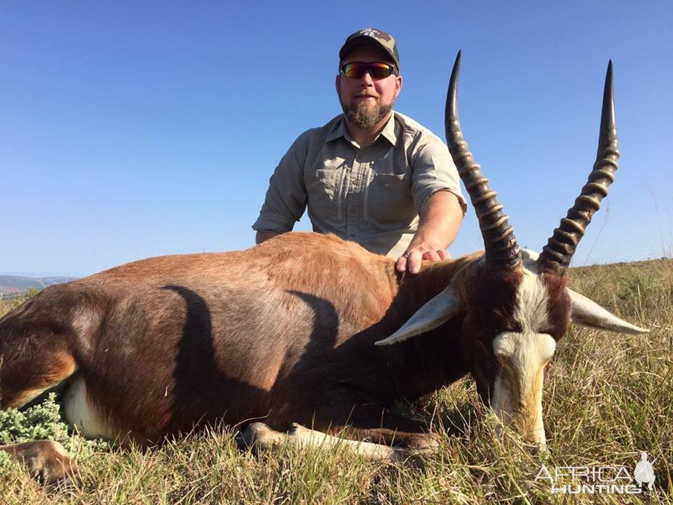 South Africa Blesbuck Hunt