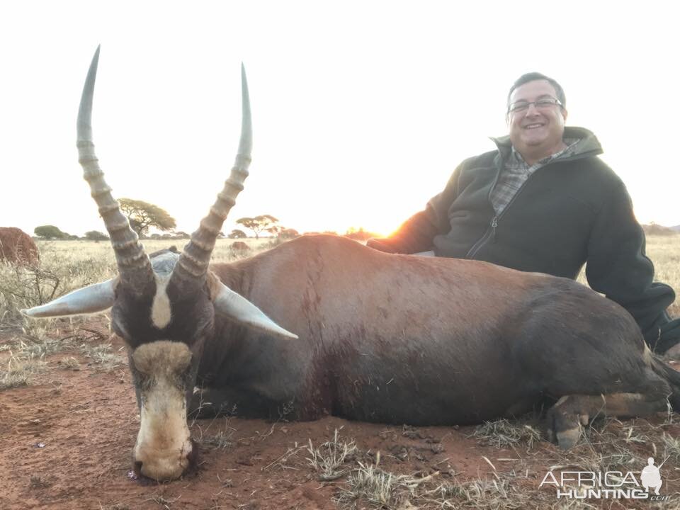 South Africa Blesbuck Hunt