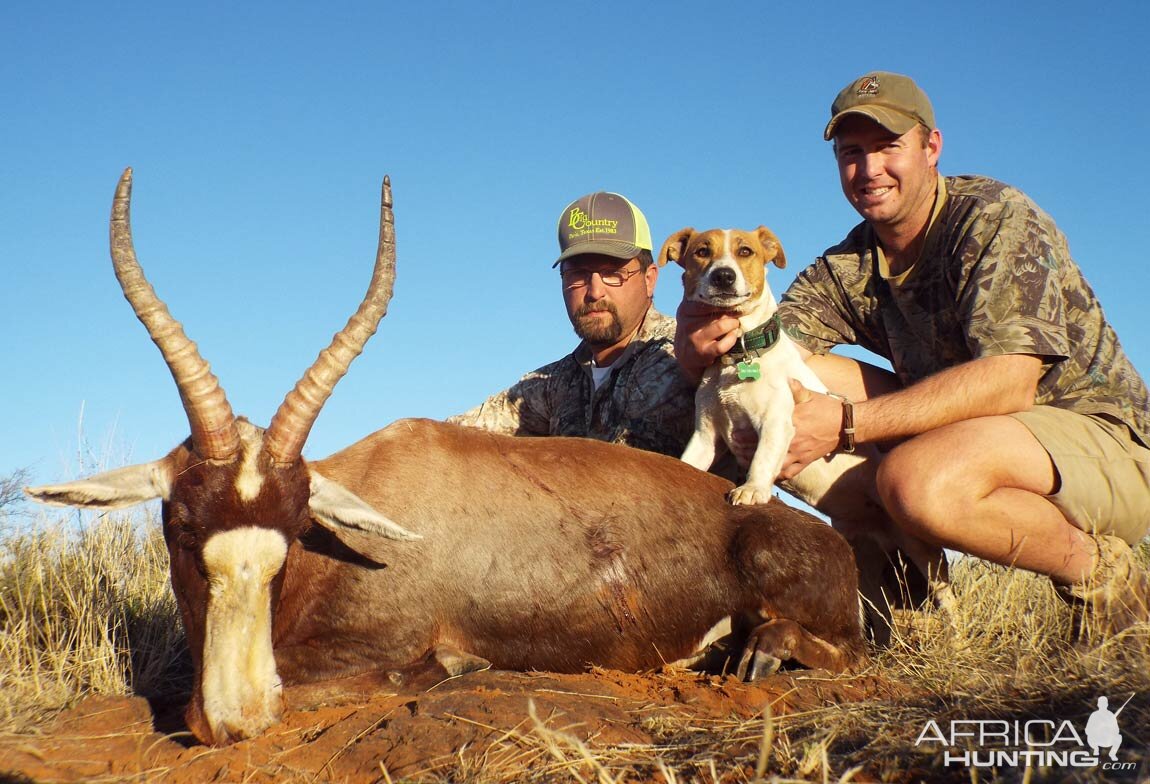 South Africa Blesbuck Hunt