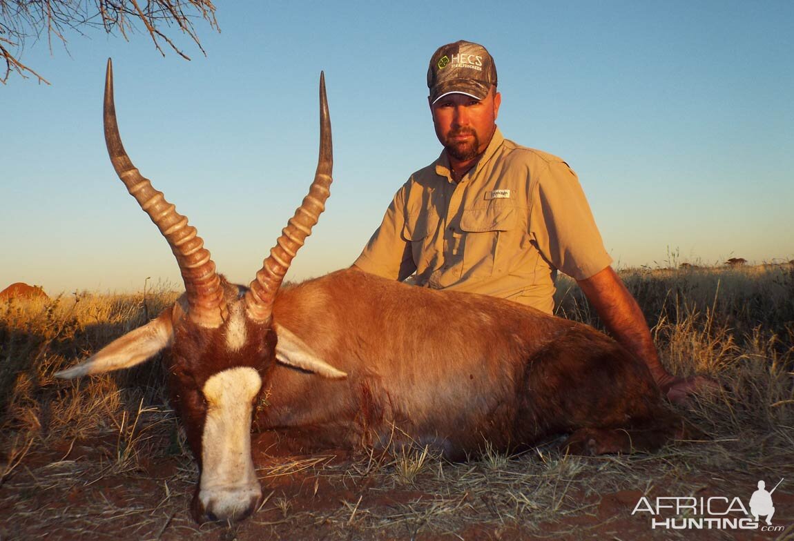 South Africa Blesbuck Hunt