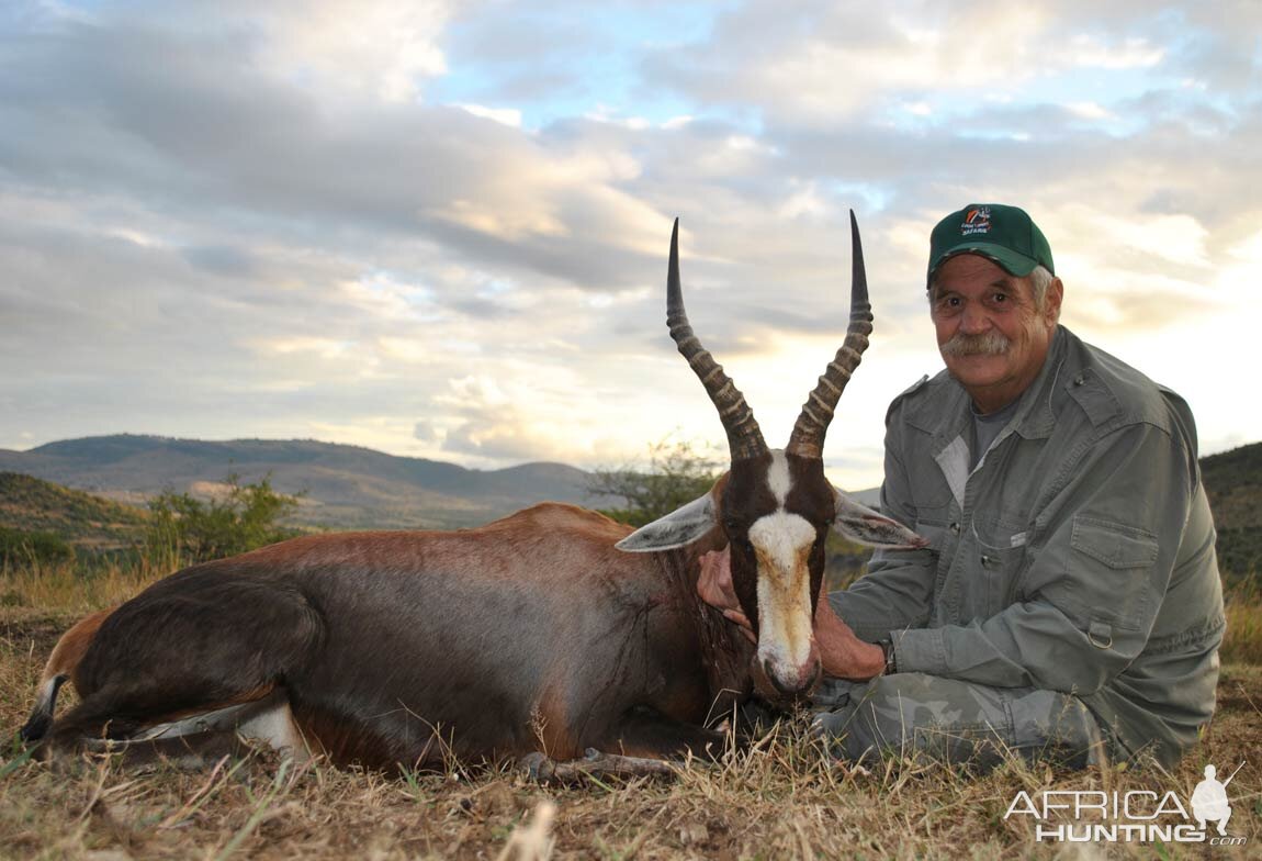 South Africa Blesbuck Hunt