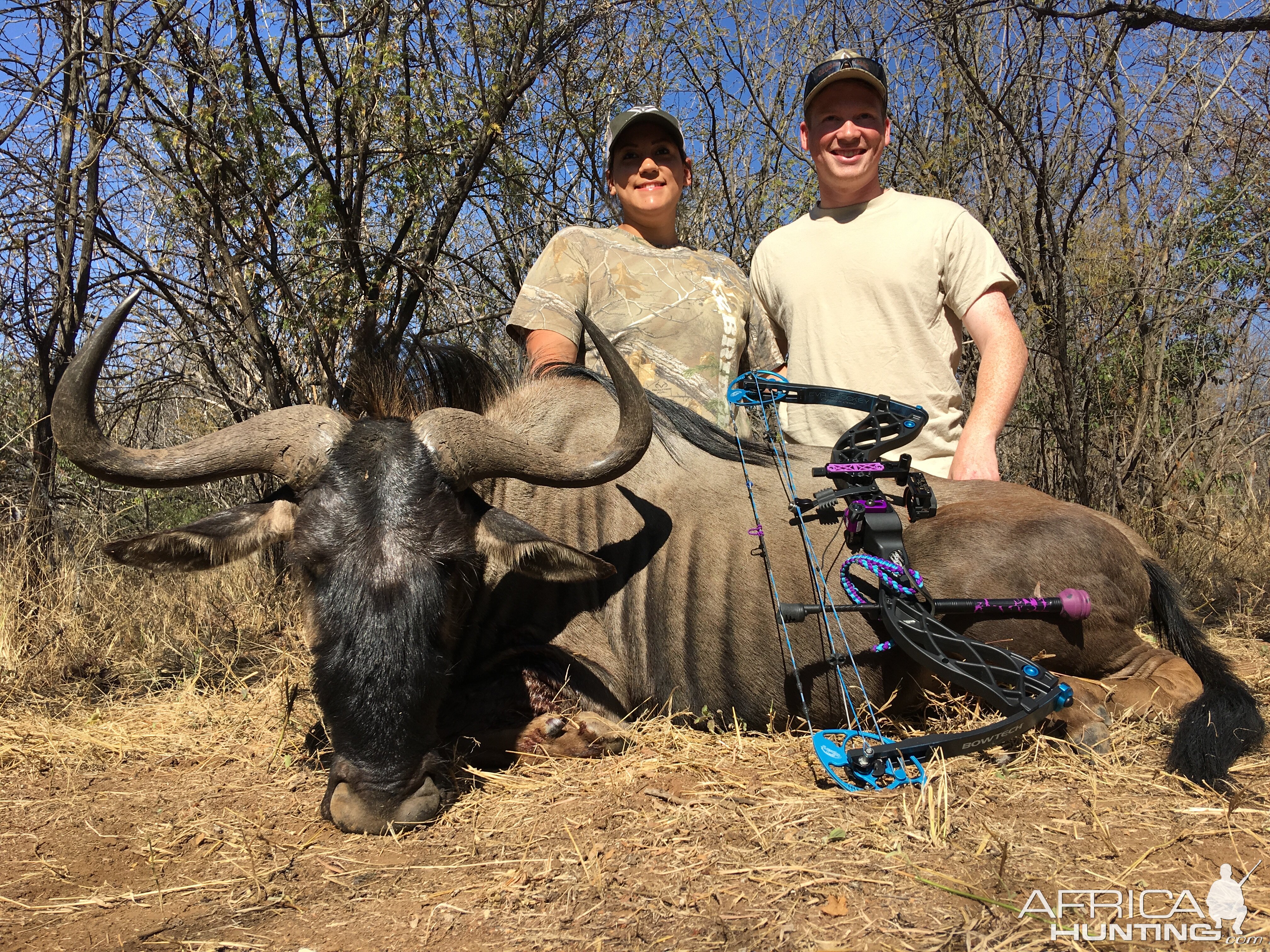 South Africa Blue Wildebeest Bow Hunt