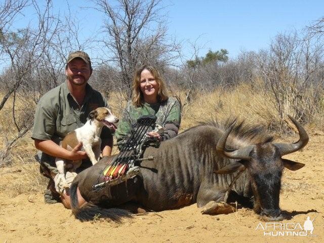 South Africa Blue Wildebeest Bow Hunting