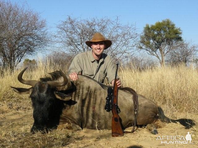 South Africa Blue Wildebeest Cull Hunting