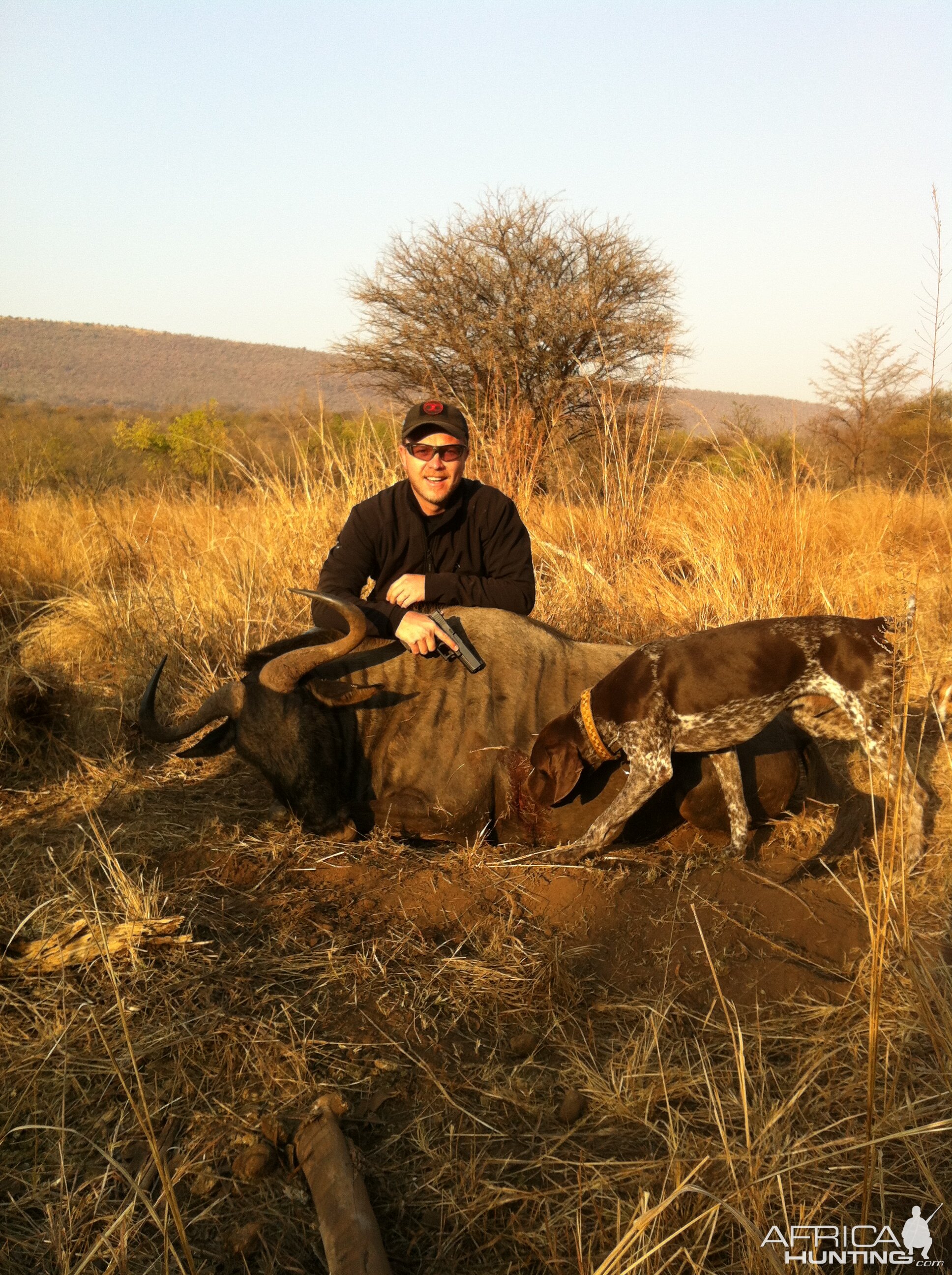 South Africa Blue Wildebeest Hand Gun Hunting