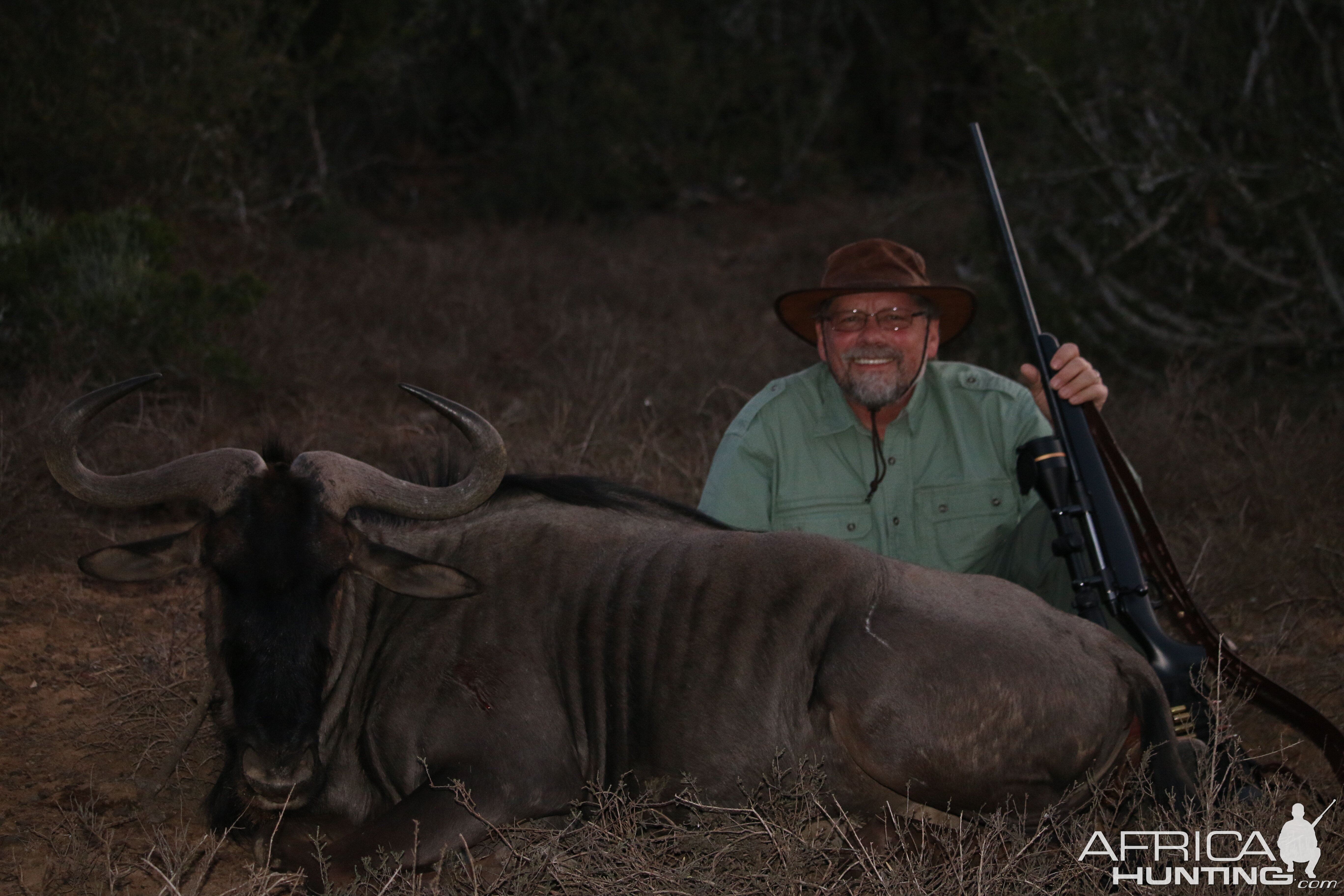 South Africa Blue Wildebeest Hunt