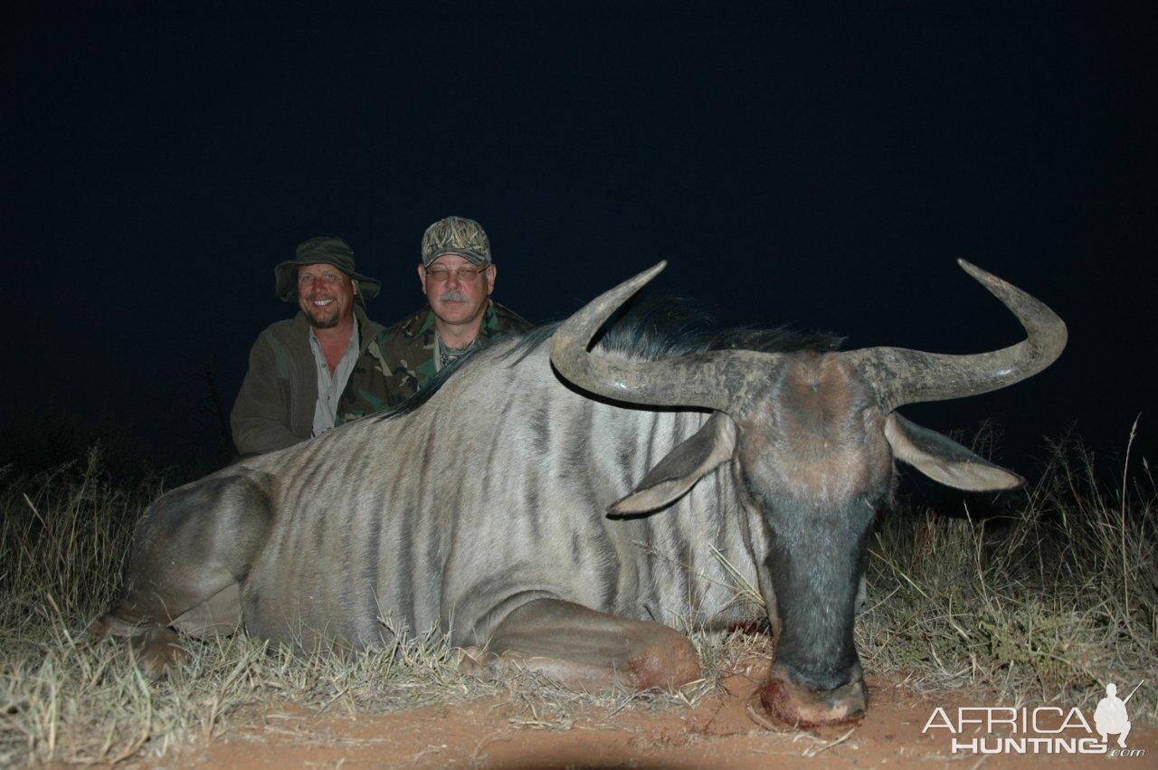 South Africa Blue Wildebeest Hunting