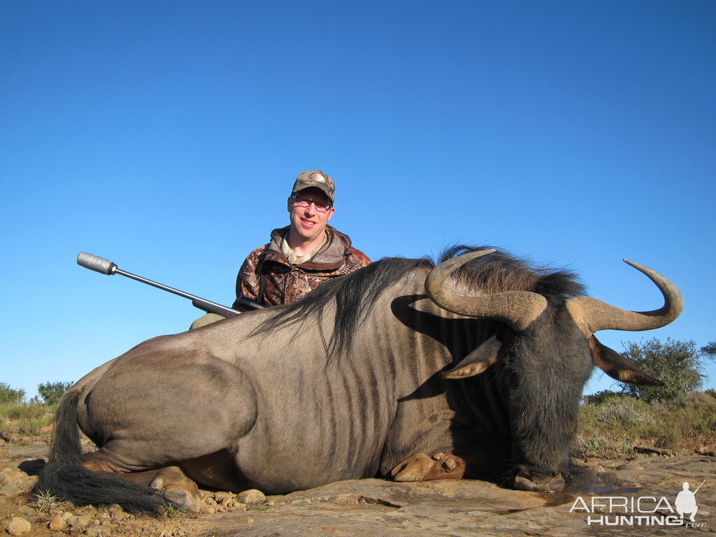 South Africa Blue Wildebeest Hunting