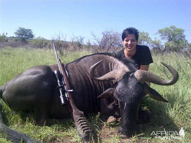 South Africa Blue Wildebeest Hunting