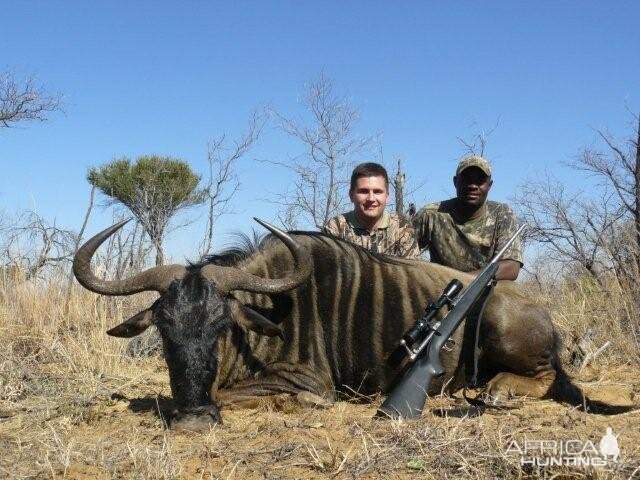 South Africa Blue Wildebeest Hunting