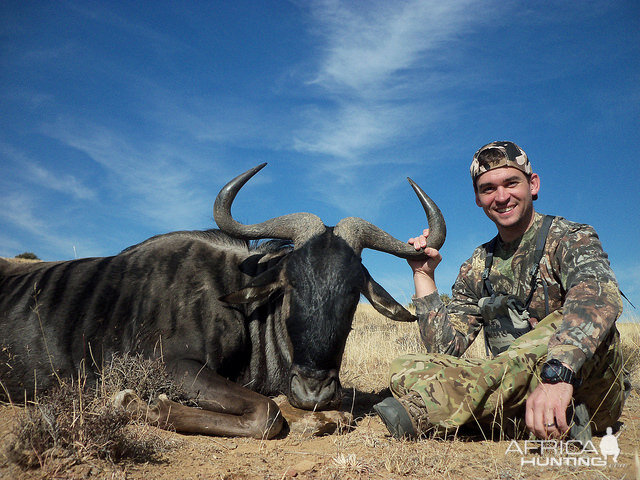 South Africa Blue Wildebeest Hunting