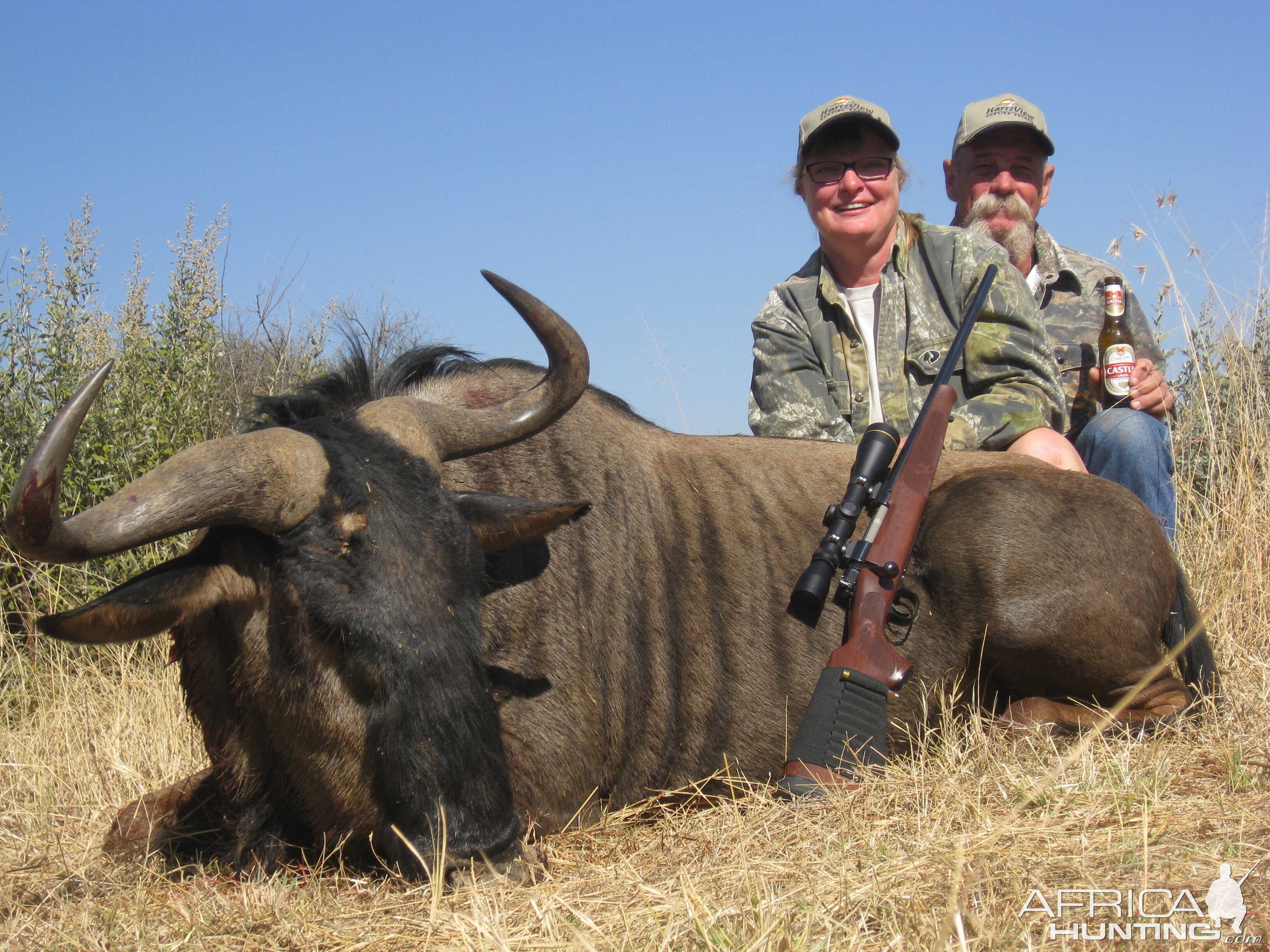 South Africa Blue Wildebeest Hunting