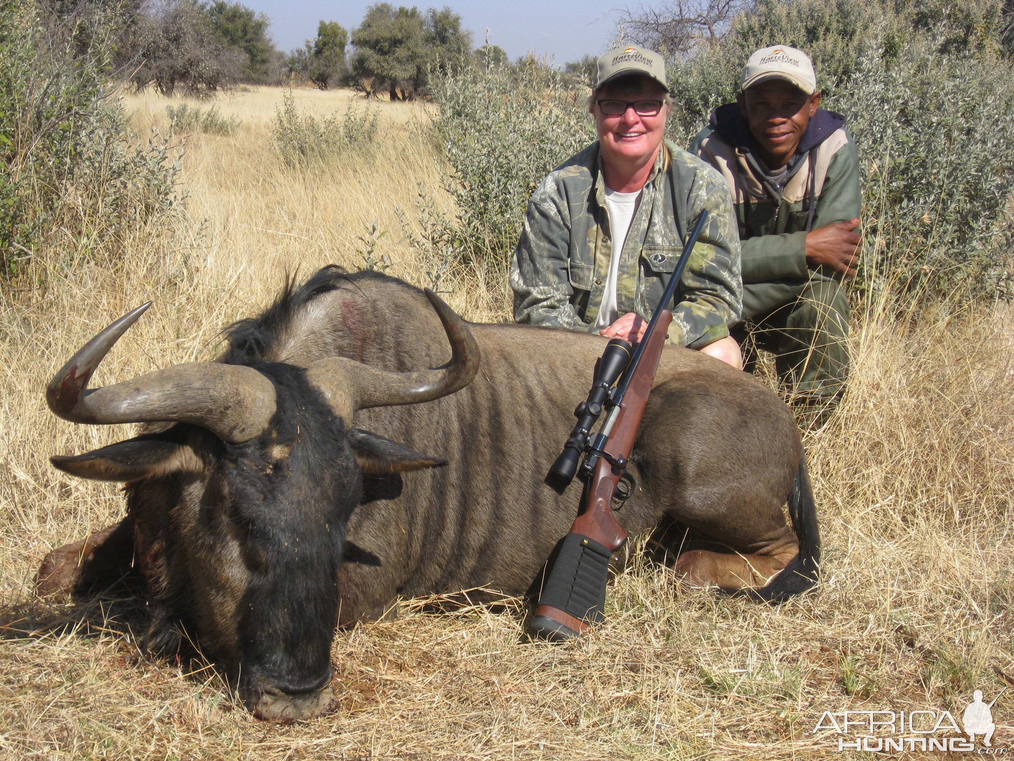 South Africa Blue Wildebeest Hunting